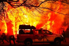 Los incendios forestales siguen sin dar tregua