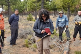 Jornada de capacitación para la prevención de la plaga sirex noctilio