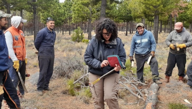 Jornada de capacitación para la prevención de la plaga sirex noctilio.