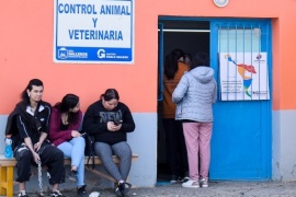 Río Gallegos parte de la Jornada de Castración de América Latina