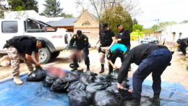 Detuvieron una camioneta que transportaba carne de guanaco