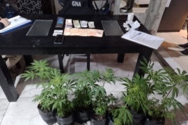 Desarticulan red de narcotráfico en Las Heras