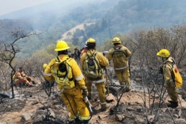 Incendios forestales y cuatro sismos en menos de 48 horas