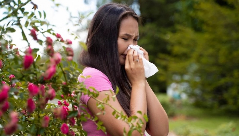 El polen de árboles, las hierbas y flores suelen provocar alergias: las más comunes son la rinitis y la conjuntivitis.alérgica.