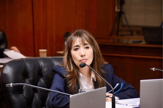 “Defendemos la universidad pública para los santacruceños y para todos los argentinos”