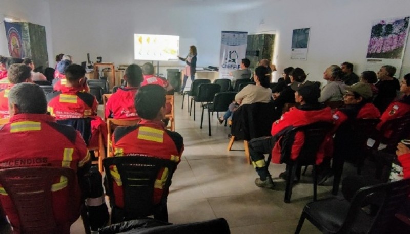 Se realizó nuevo plenario del Servicio Provincial de Manejo del Fuego