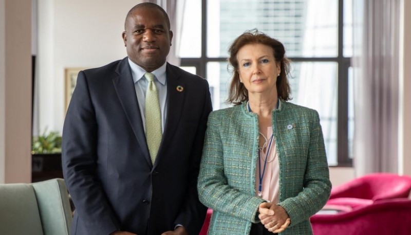  Diana Mondino junto a David Lammy