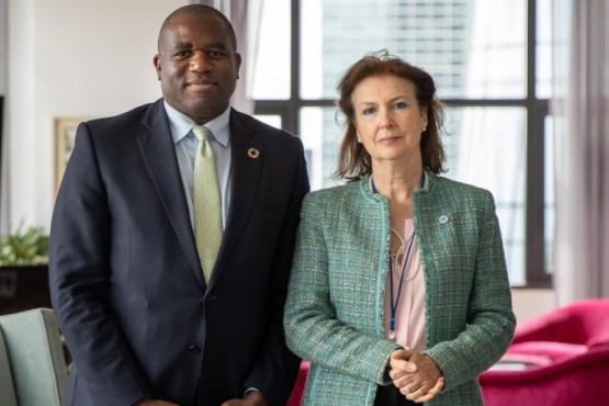  Diana Mondino junto a David Lammy