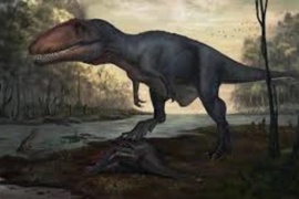 Descubrieron restos fósiles de un dinosaurio en Río Negro