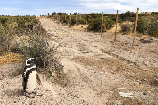 El Tribunal rechazó la propuesta de tierras de La Regina