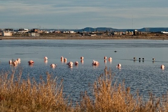 Las Reservas Naturales Urbanas escenarios de la buena fotografía