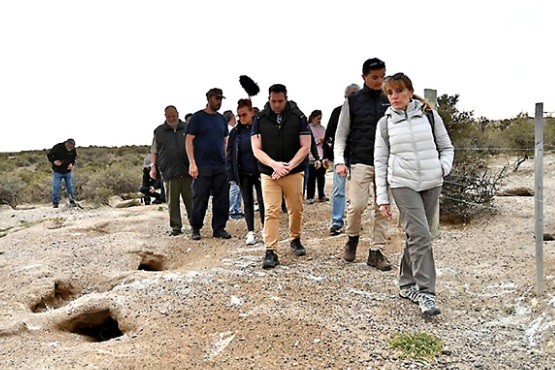 Se hizo la inspección ocular en la zona de la matanza de pingüinos