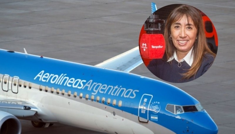 Roxana Reyes votará a favor de la privatización de Aerolíneas Argentinas 