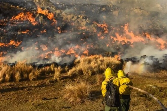 Condenaron a un hombre por provocar un incendio forestal en Córdoba