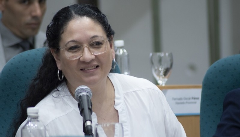 Diputada Fabiola Loreiro.