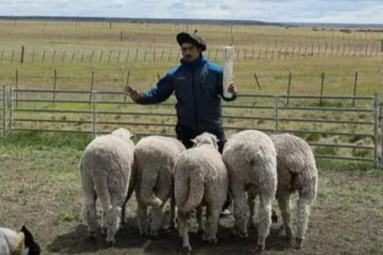 Plan de manejo del guanaco y compensación impositiva para la patagonia