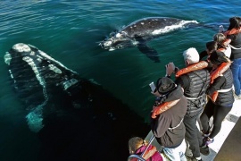 Chubut recibió 40 por ciento más de turistas que el año pasado