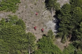 Buscan desesperadamente a un turista inglés en el Parque Nacional Lanín