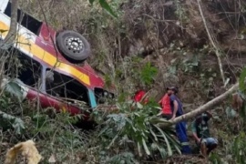 Tragedia en Brasil: al menos 17 muertos al caer un autobús a un precipicio