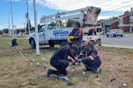 Comenzaron los preparativos para el encendido del árbol navideño