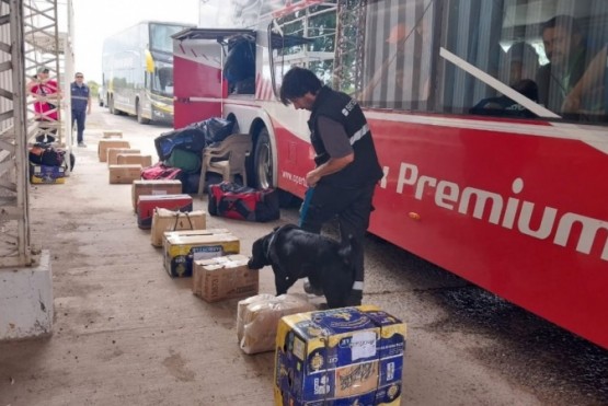 Se inspeccionaron más de 200 transportes de pasajeros en la Barrera Patagónica