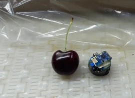 Gran innovación en Los Antiguos con la cereza electrónica