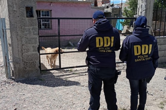 Tres detenidos por el delito de estupro