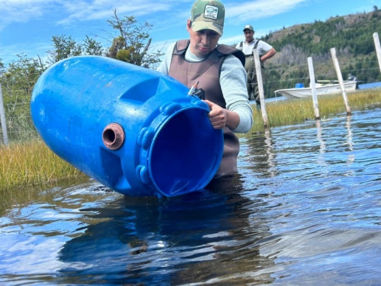 Después de más de 10 años Chubut realiza resiembra de alevines en Laguna Larga