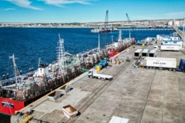 Puerto Madryn realizará el primer Foro PescAR en marzo de 2025