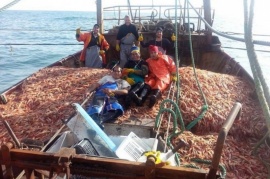 Chubut, rumbo a un récord histórico de pesca de langostino