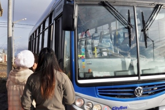 Cómo funcionará el servicio urbano de colectivos esta Navidad