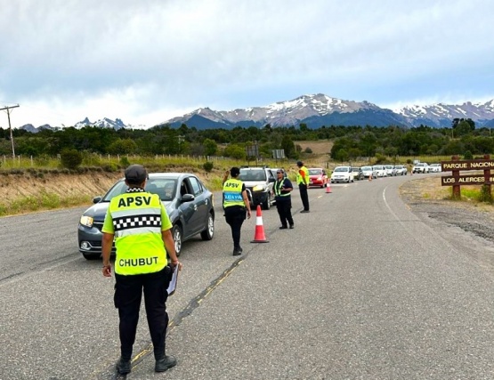 Provincia controló más de 11.500 vehículos y retiró a 84 conductores alcoholizados de la vía pública