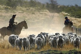 RENATRE: un panorama del empleo rural en Santa Cruz