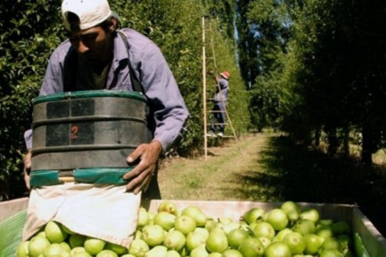 Las exportaciones de las economías regionales alcanzaron los USD 8.941 millones