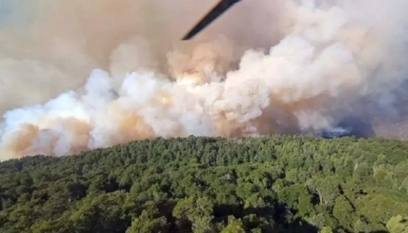 El fuego sigue activo y ya afecta más de dos mil hectáreas