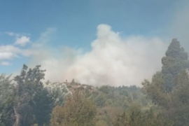 Provincia trabaja para controlar un incendio en la zona de Los Cipreses