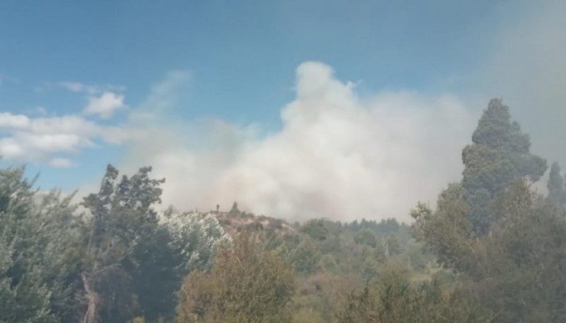 Provincia trabaja para controlar un incendio en la zona de Los Cipreses 