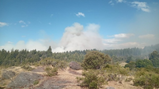 Continúa el operativo para controlar el incendio en la zona de Los Cipreses