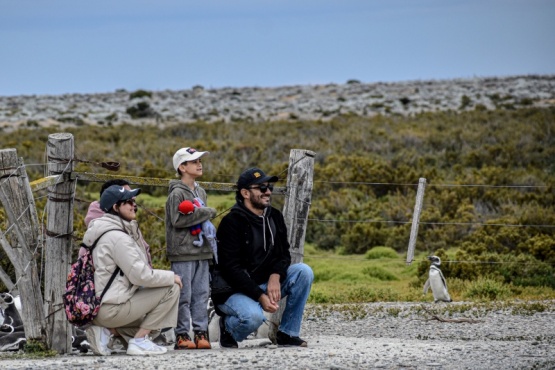 Turismo en Río Gallegos: actividades para enero