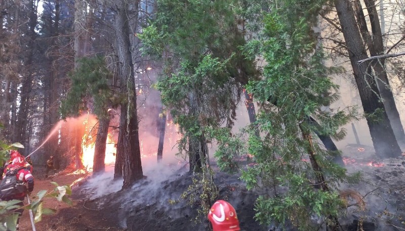 Torres anunció que el incendio en la zona de Los Cipreses está circunscripto