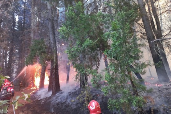 Torres anunció que el incendio en la zona de Los Cipreses está circunscripto