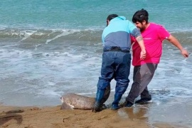 Pescadores del país llegarán a San Julián para un evento sin precedentes