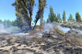 Controlaron incendio en la Reserva Urbana Laguna de Los Juncos