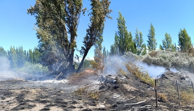 Controlaron incendio en la Reserva Urbana Laguna de Los Juncos