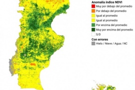 Expectativa ganadera: Pastizales por encima del promedio en Santa Cruz