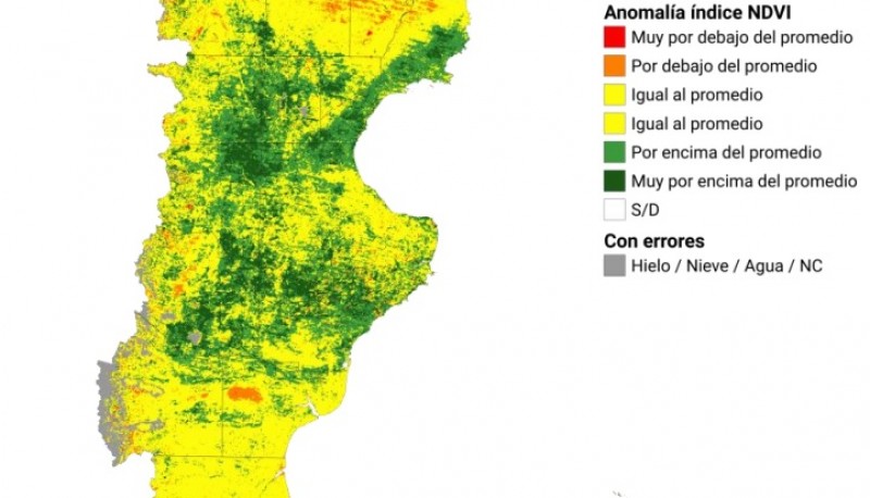 Mapa Informe Radar Ganadero 