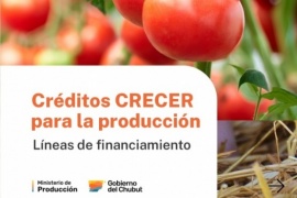 El Gobierno del Chubut informa que están disponibles Líneas de Financiamiento CRECER