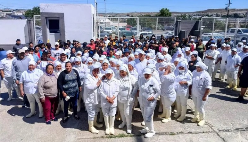 Tensión en una planta pesquera por la propiedad de maquinaria