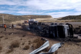 Camión volcó, se prendió fuego y provocó un incendio forestal