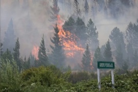 Sigue el incendio forestal en Epuyén y ya se quemaron más de 3 mil hectáreas